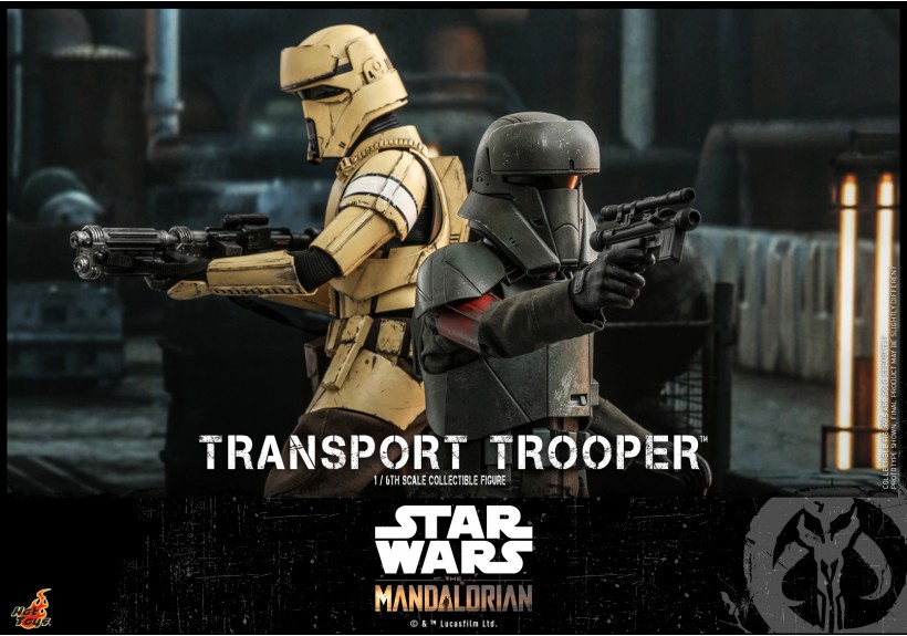 HotToys 1/6 Figure TMS030 Imperial Combat Assault Transport Trooper(Star Wars: The Mandalorian)