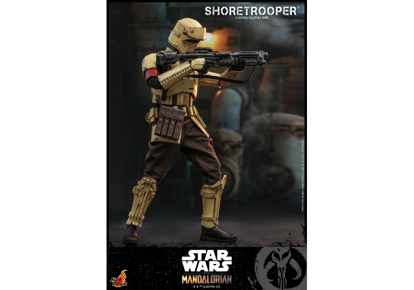 HotToys 1/6 Figure TMS031 Shoretrooper(aka Coastal Defender Stormtrooper)(Star Wars: The Mandalorian)
